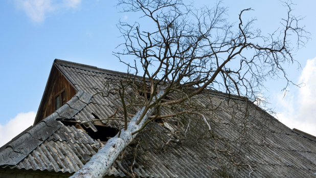 roof repair companies Anaheim